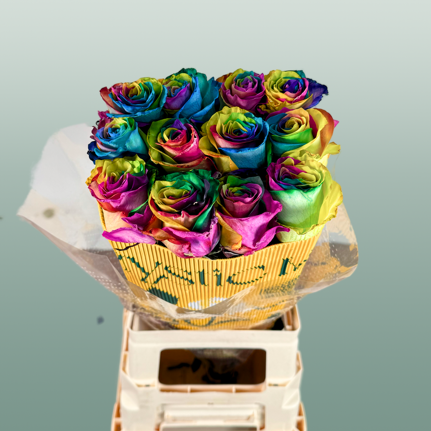 Rose Eq Rainbow