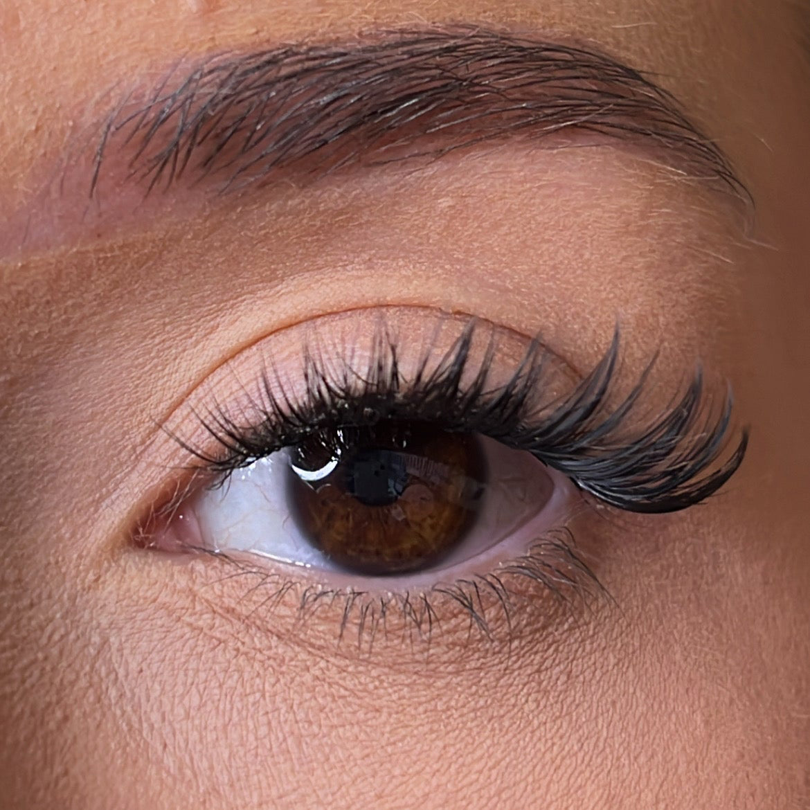 Pre-Glued Lashes - K Glue No Faff Lash - Mor