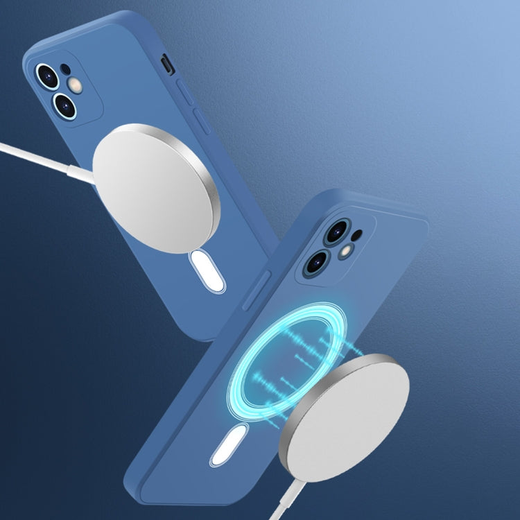 Silicone Full Coverage Shockproof Magsafe Case, For iPhone 11, For iPhone 11 Pro