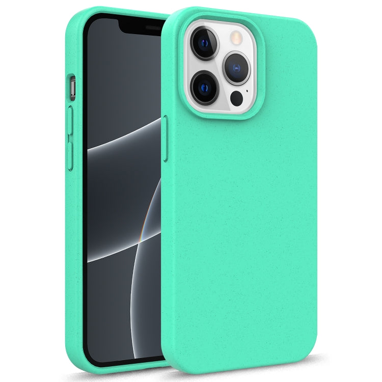 Starry Series Shockproof Straw Material + TPU Protective Case, For iPhone 13 Pro, For iPhone 13, For iPhone 13 mini