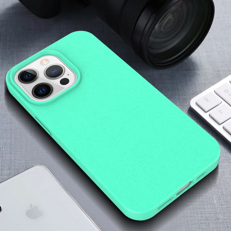 Starry Series Shockproof Straw Material + TPU Protective Case, For iPhone 13 Pro Max