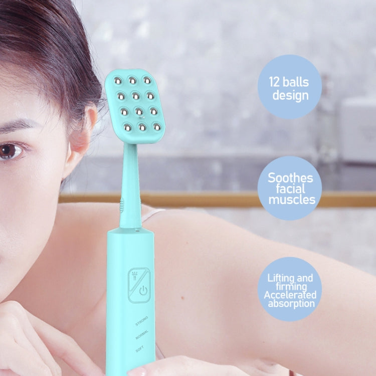 LSHOW YJK108 Multi-function Facial Cleansingand Teeth Cleaning Instrument with LED Auxiliary Light(Black)