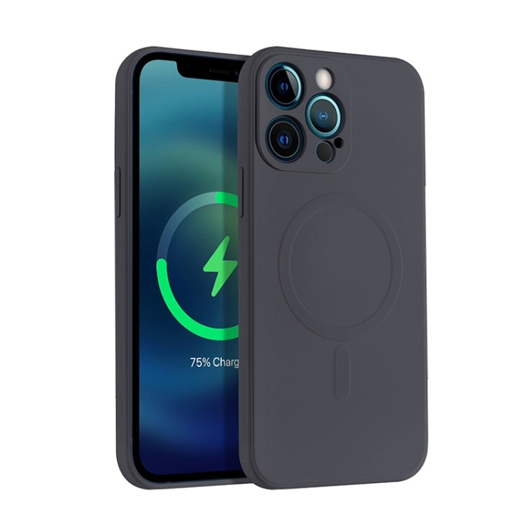Liquid Silicone Full Coverage Magsafe Phone Case, For iPhone 12 mini, For iPhone 12, For iPhone 12 Pro