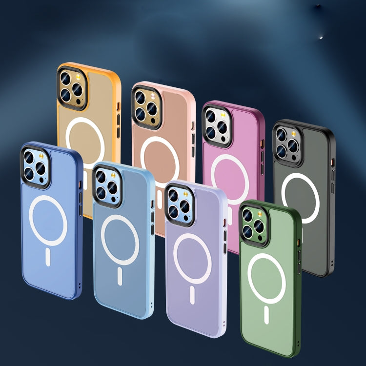 Skin Feel TPU + Frosted PC MagSafe Phone Case, For iPhone 11 Pro Max, For iPhone 11 Pro, For iPhone 11