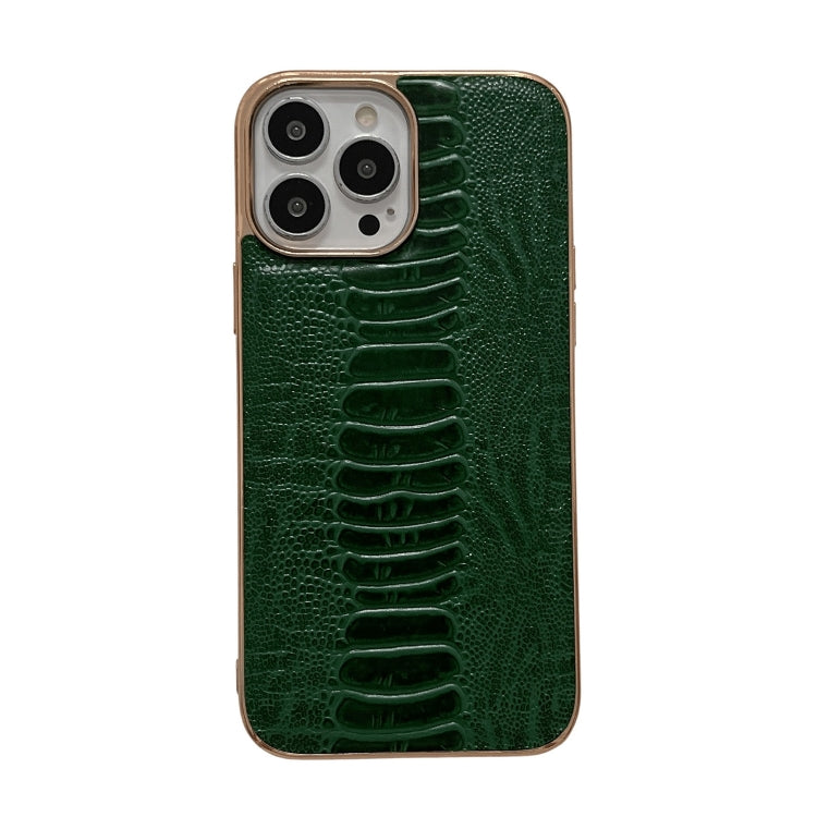 Genuine Leather Pinshang Series Nano Electroplating Phone Case, For iPhone 13 Pro Max