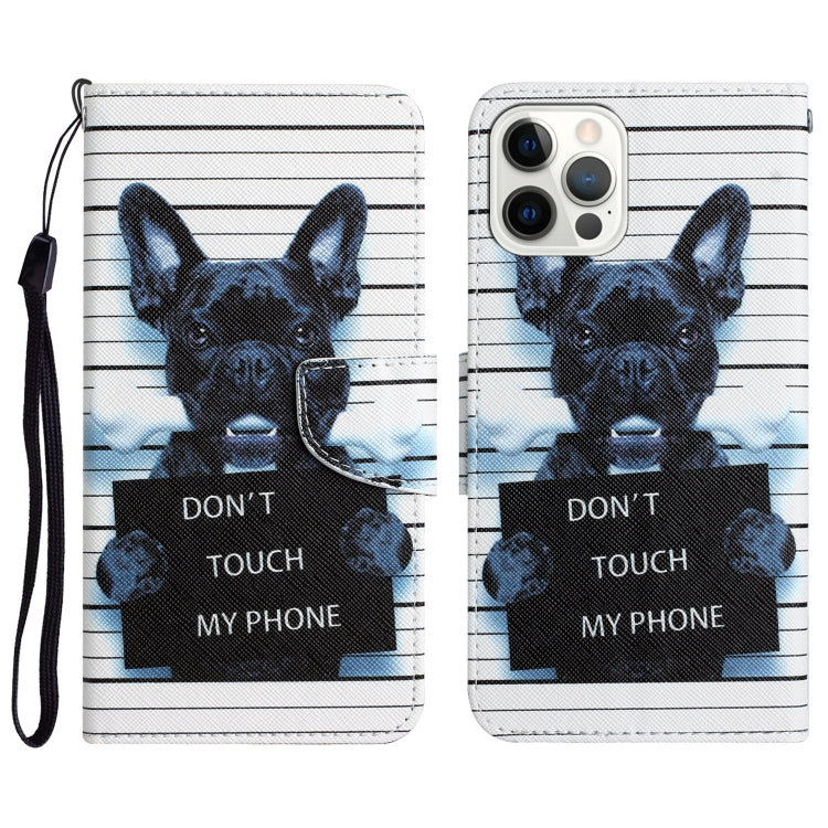 Colored Drawing Leather Phone Case, For iPhone 14 Pro Max