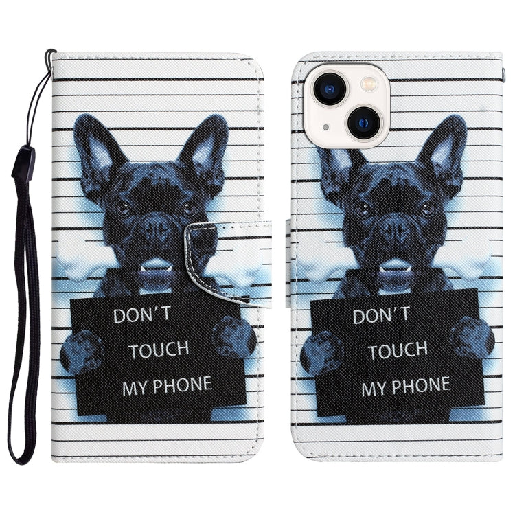 Colored Drawing Leather Phone Case, For iPhone 13