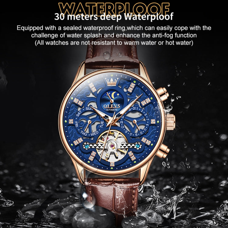 OLEVS 6658 Men Luminous Waterproof Leather Strap Mechanical Watch