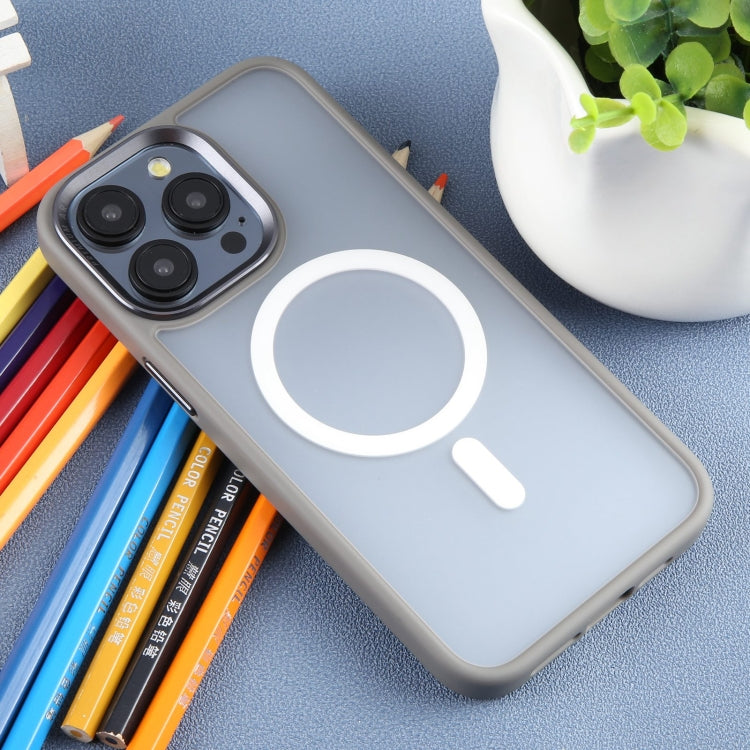 For iPhone 15 Pro DFANS DESIGN Magsafe Magnetic Phone Case(Grey)