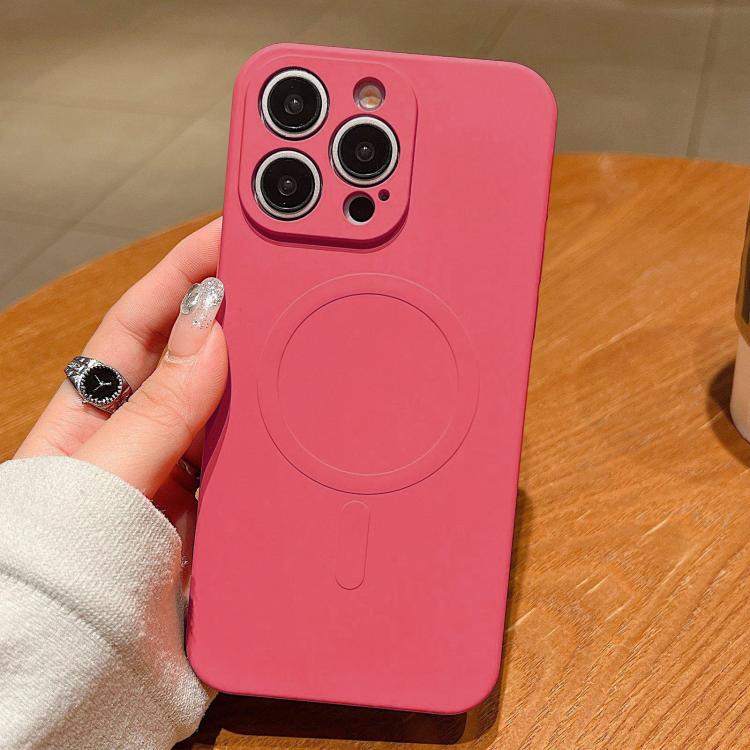 Solid Color Liquid Silicone MagSafe Magnetic Phone Case, For iPhone 16 Pro