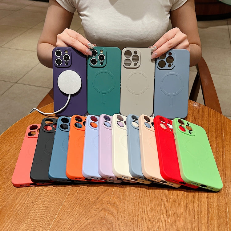 Solid Color Liquid Silicone MagSafe Magnetic Phone Case, For iPhone 16