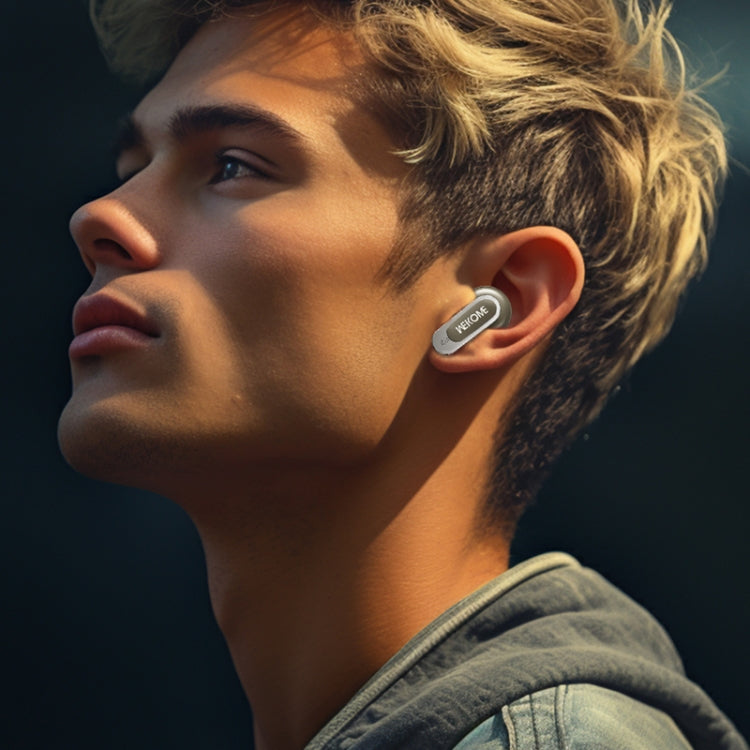 WK Beluga S9 Smart Color Screen True Wireless Noise Reduction Bluetooth Earphone(Grey)