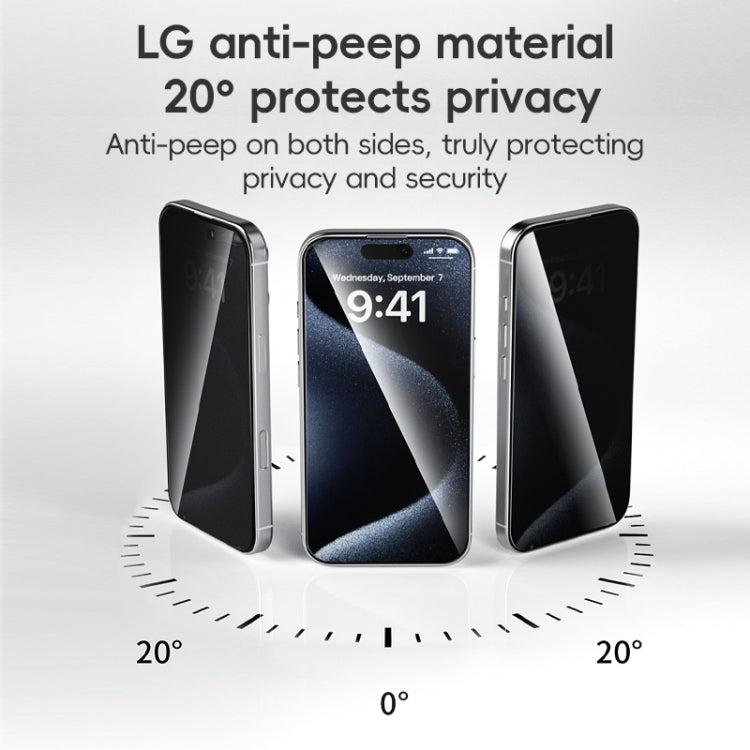 For iPhone 16 ZGA 0.33mm 2.5D Anti-static Privacy Tempered Glass Film