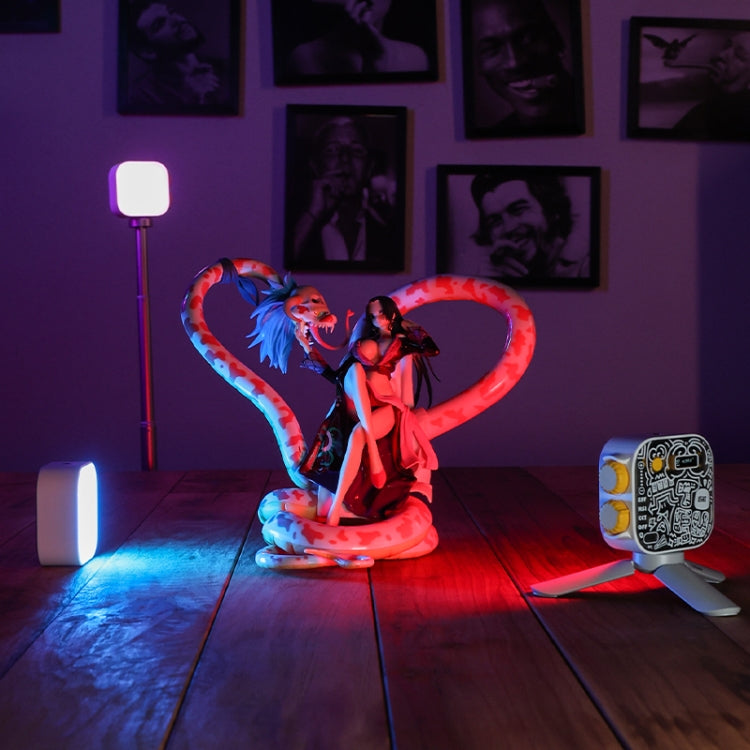 FUNSNAP Pocket Full Color RGB Video Shot Fill Light(White)