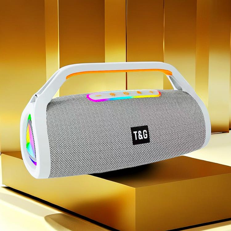 T&G TG417 40W Portable Outdoor Bass Dual Microphone Wireless Bluetooth Speaker(Grey)
