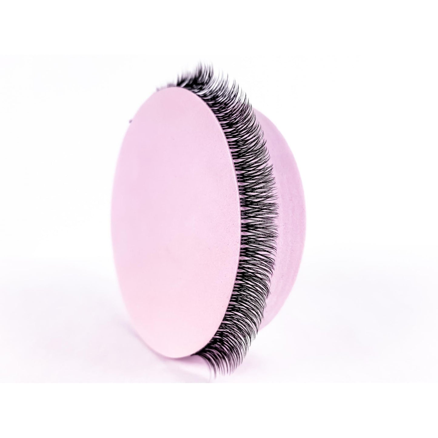 Erin - 'C' Curl Lash Ribbons® Invisible Band