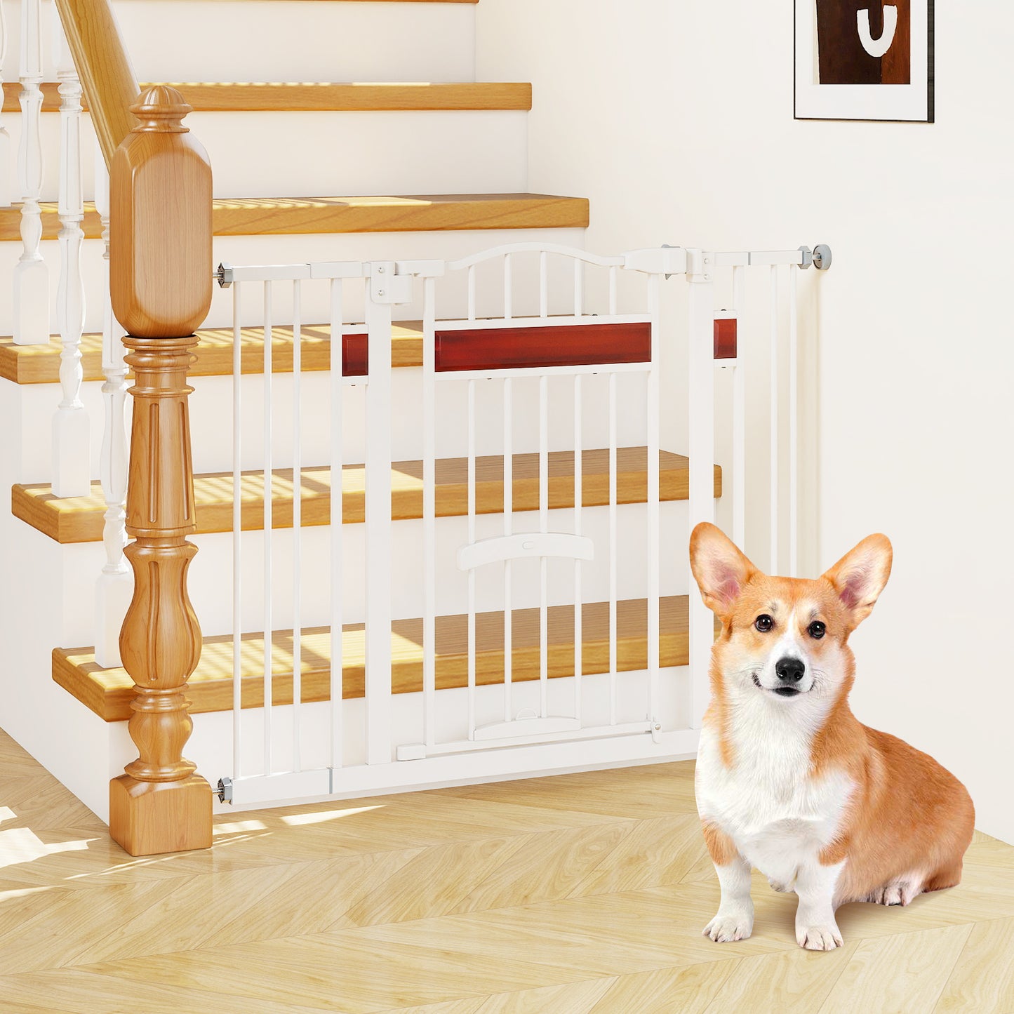 Extra Wide Walk Through Pet Gate with Small Door and 2 Extensions-Black