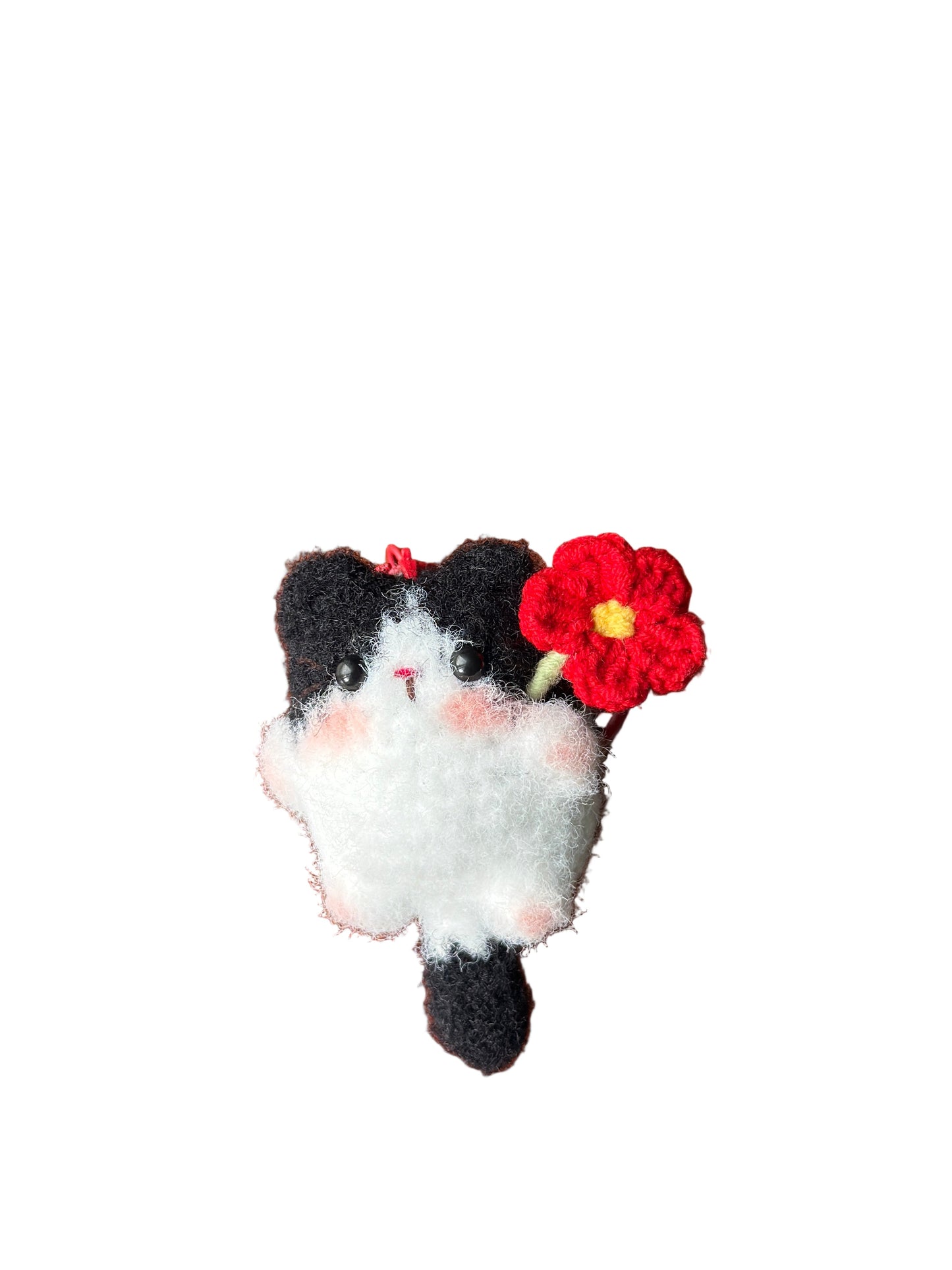 Little Square Cute Kitten Collection
