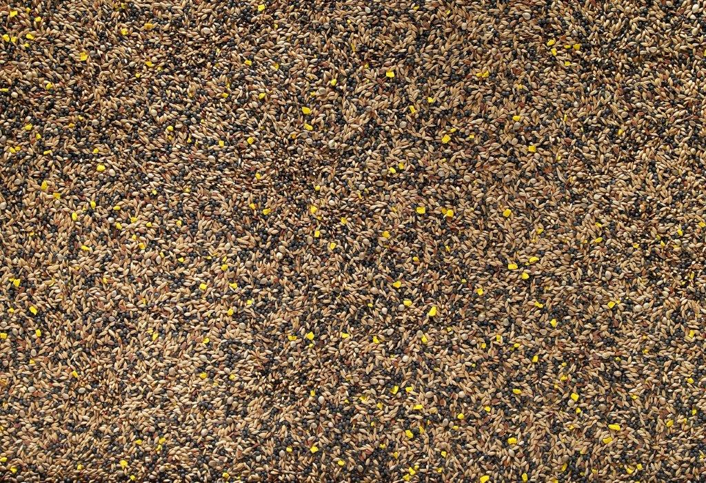 Johnston & Jeff Favourite Mixed Canary Bird Seed