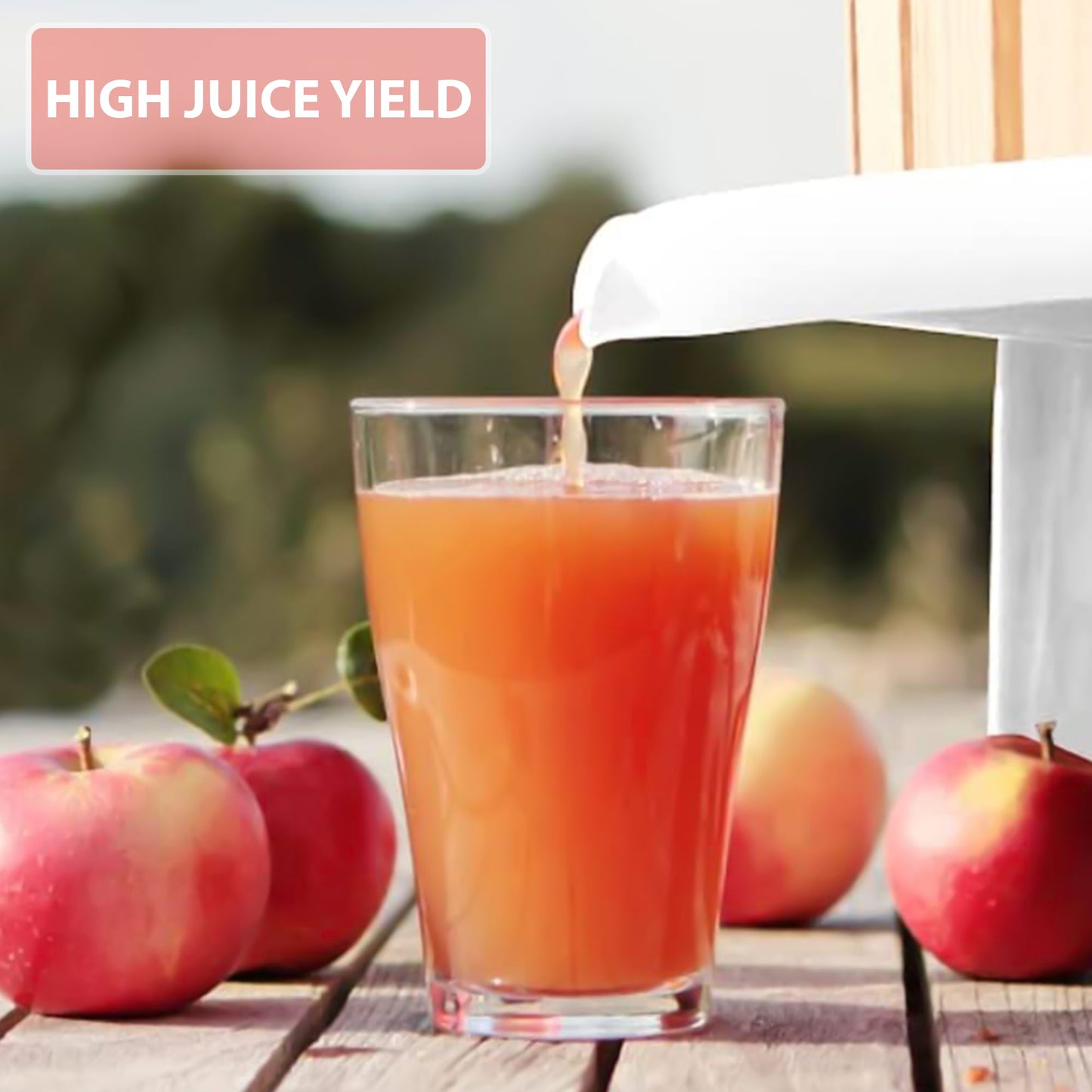 Manual Fruit Press Wooden - 6/12/18 Liters