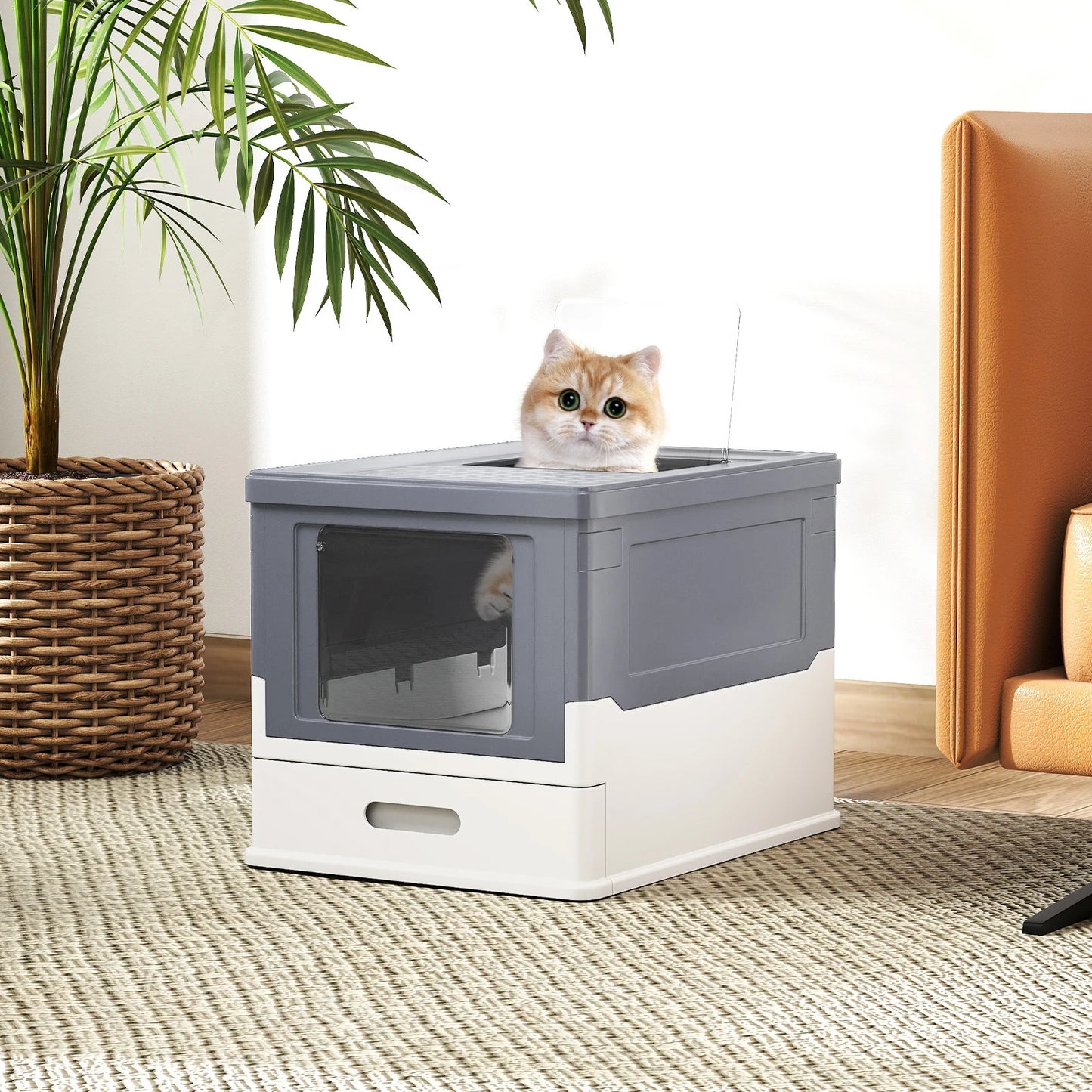 Foldable Cat Litter Box with Lid Large Fully Enclosed Cat Toilet with Front Entry and Flip Top Exit-Grey