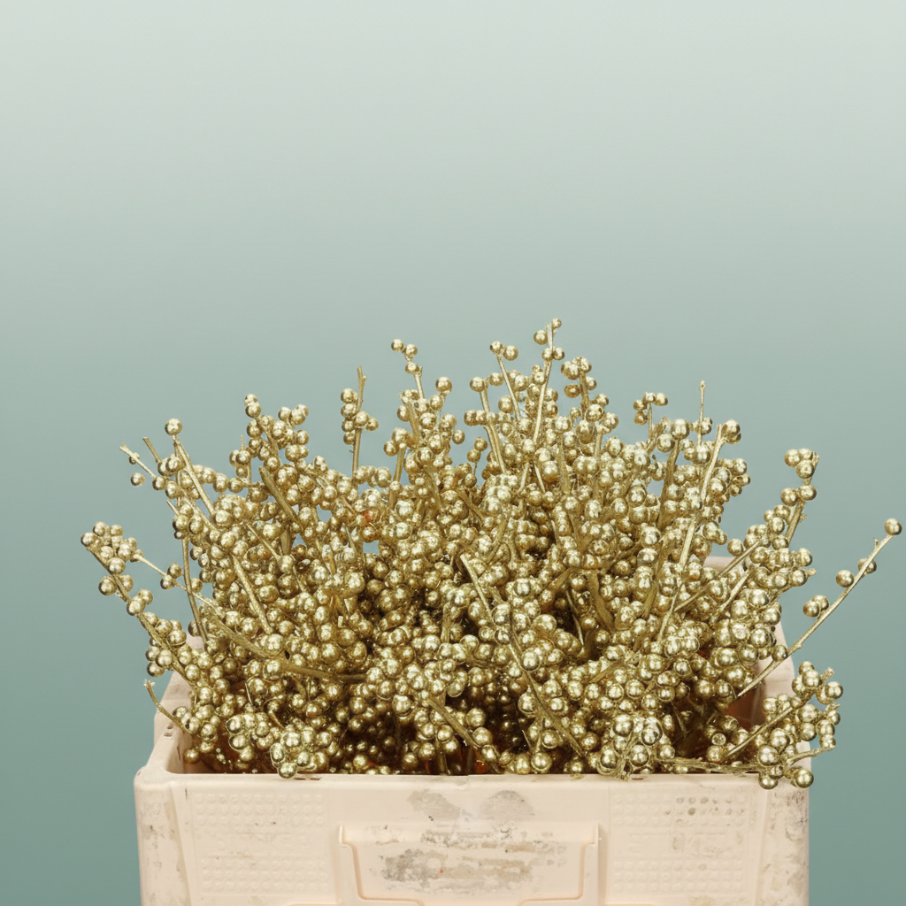 Wax Ilex Xl