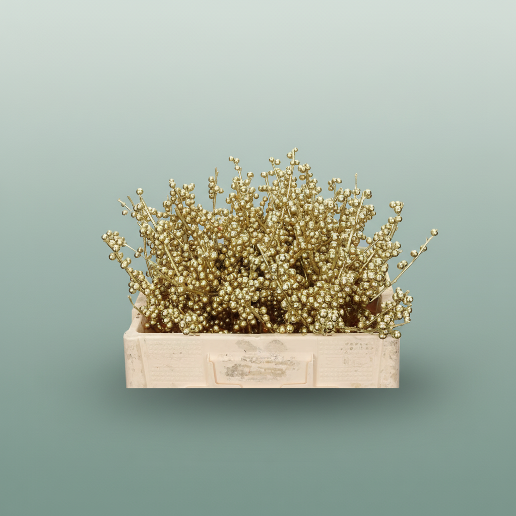 Wax Ilex Xl