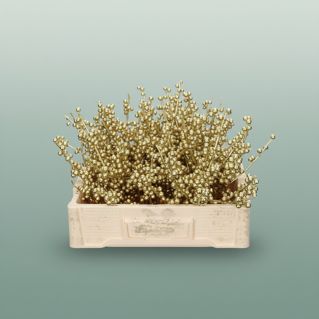 Wax Ilex Xl