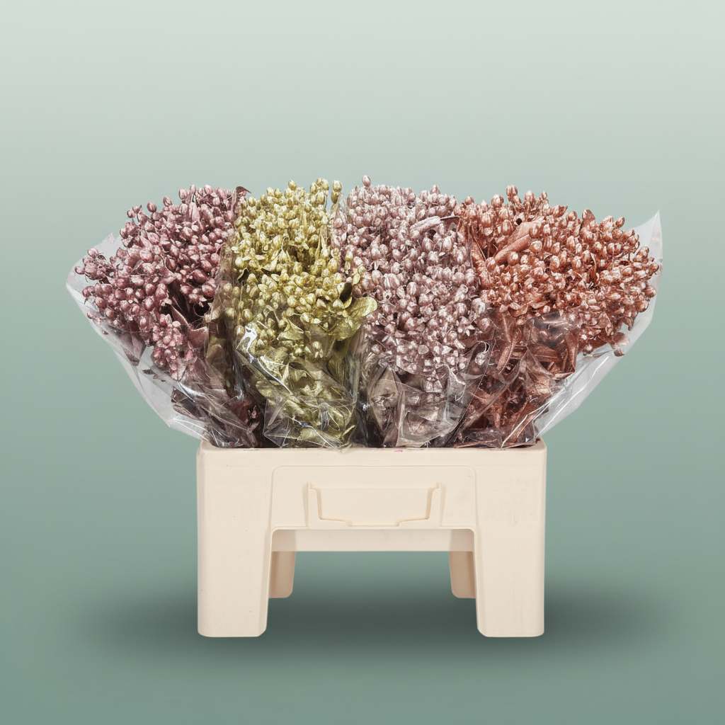 Wax Hydrangea