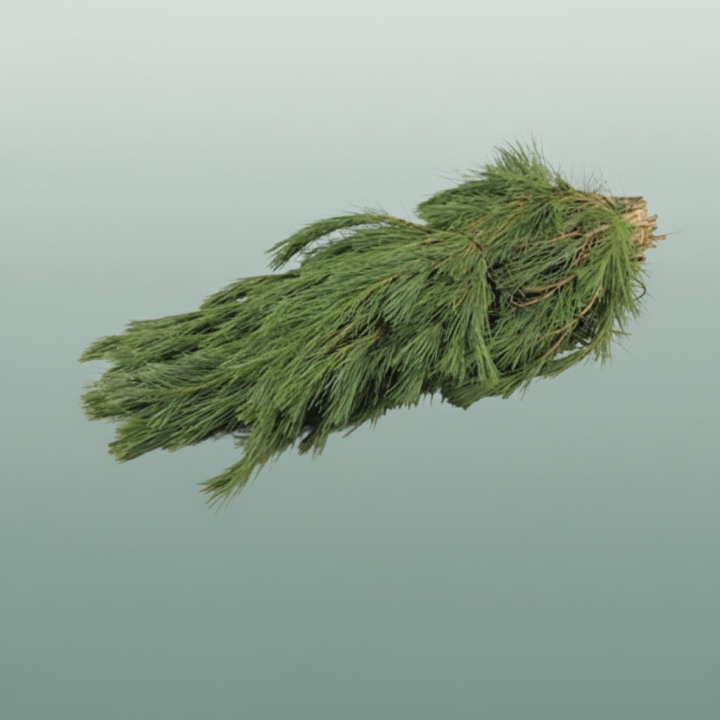Pinus 5kg