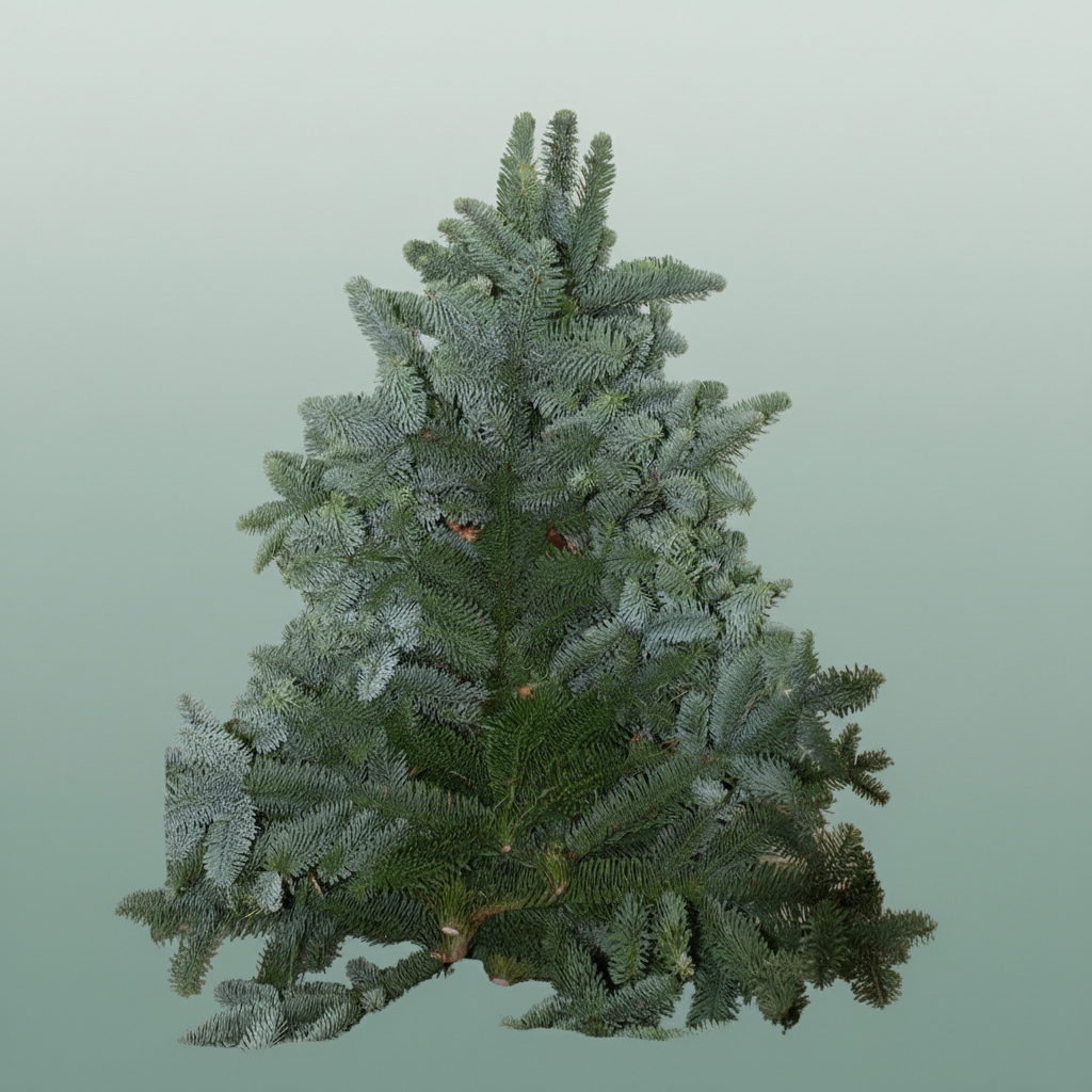 Nobilis Spruce 5kg