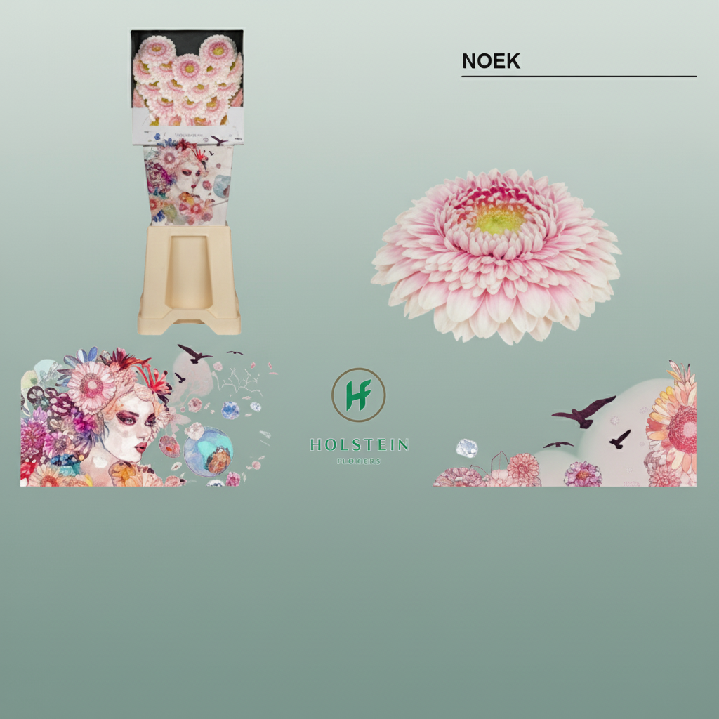 Germini Ball Noek