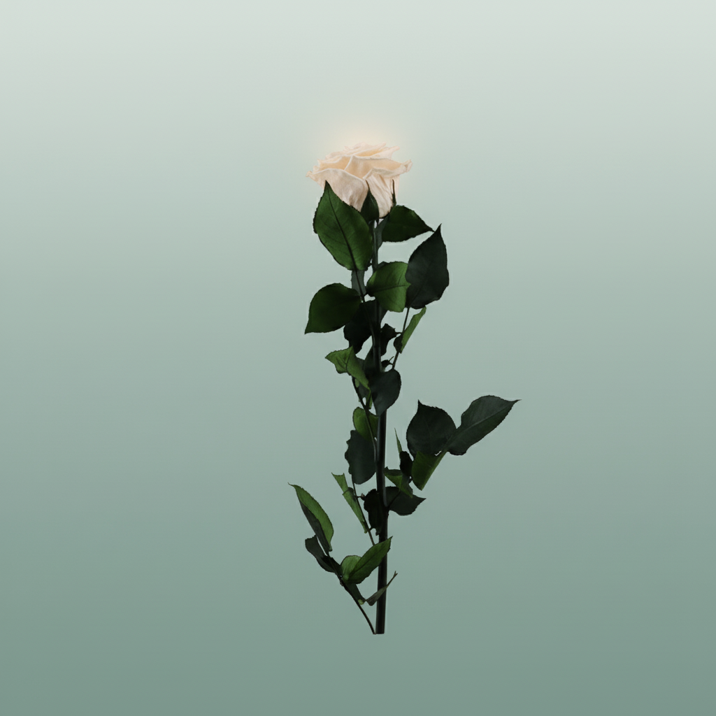 Rose Preserved Stem Champagne