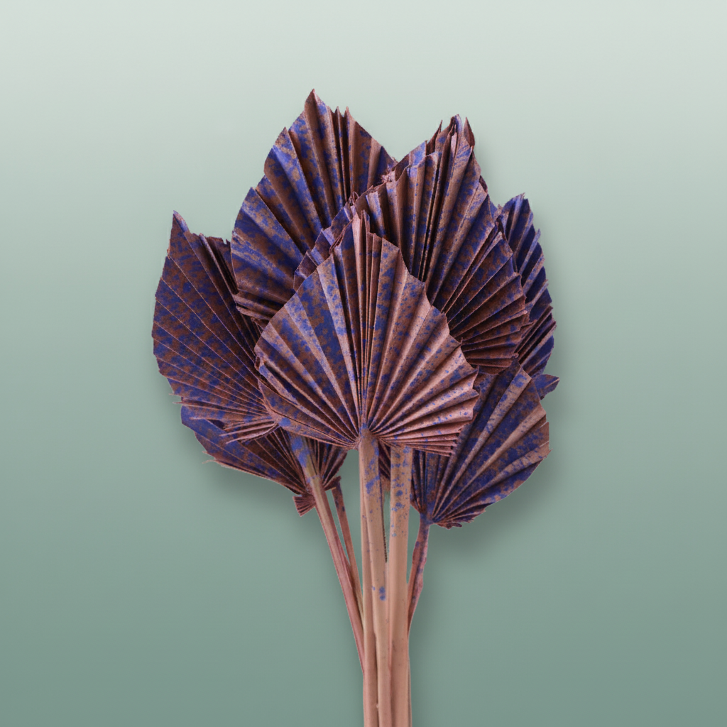 Dried Artz Palm Spear Da Vinci