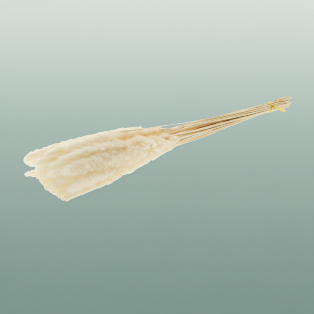 Dried Fluffy Pampas Bleached