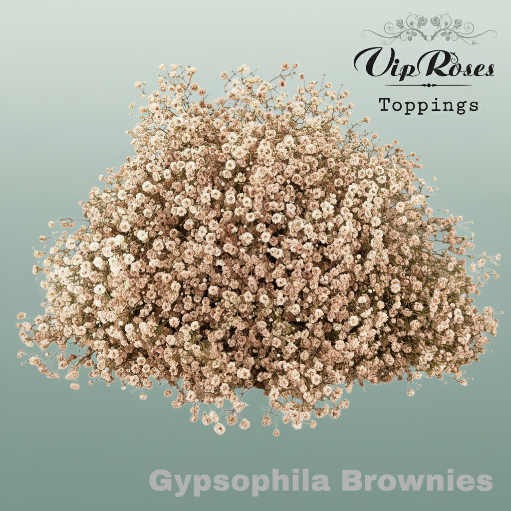 Gypsophila Dyed Brownies