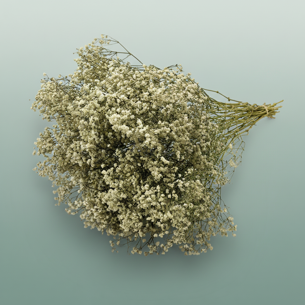 Dried Gyps Naturel