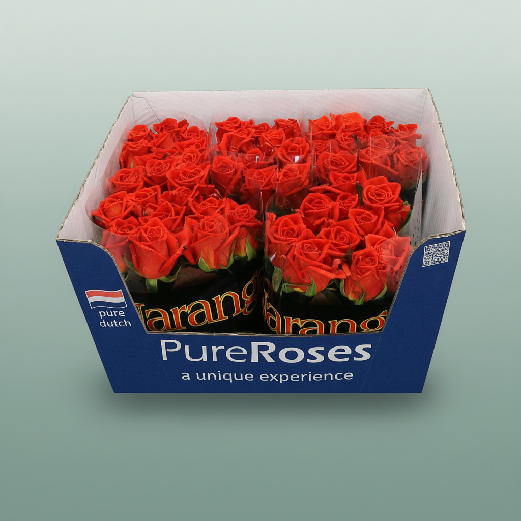 Rose Naranga