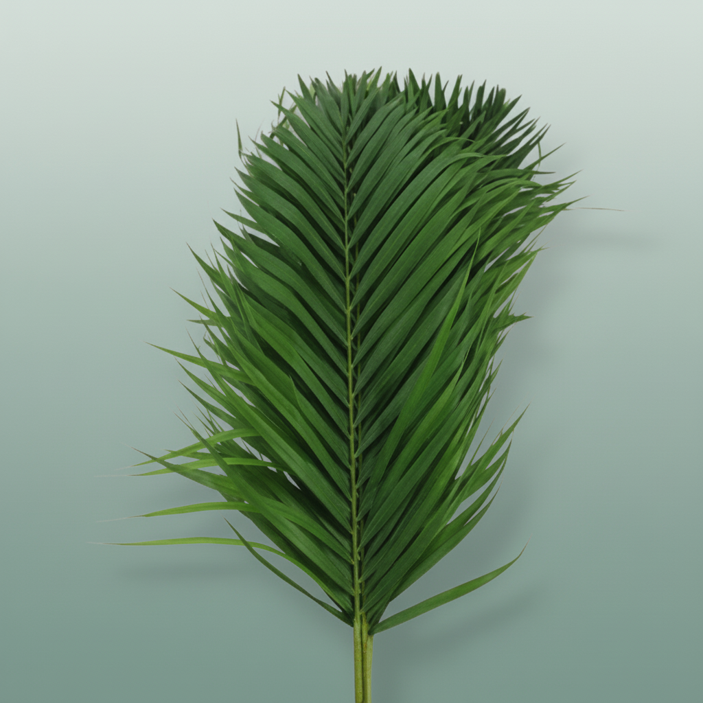 Cane Palm - Plastic