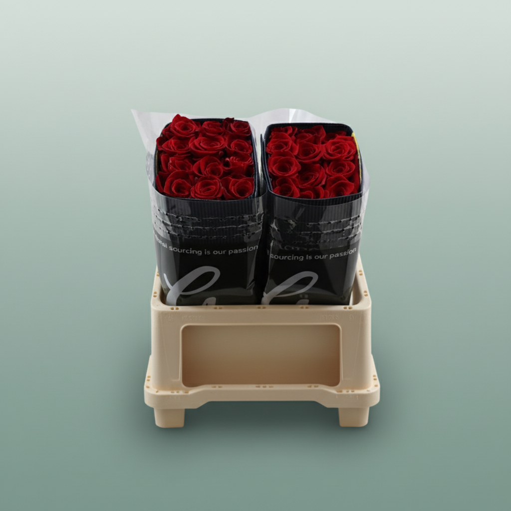 Rose - Rosa - Freedom