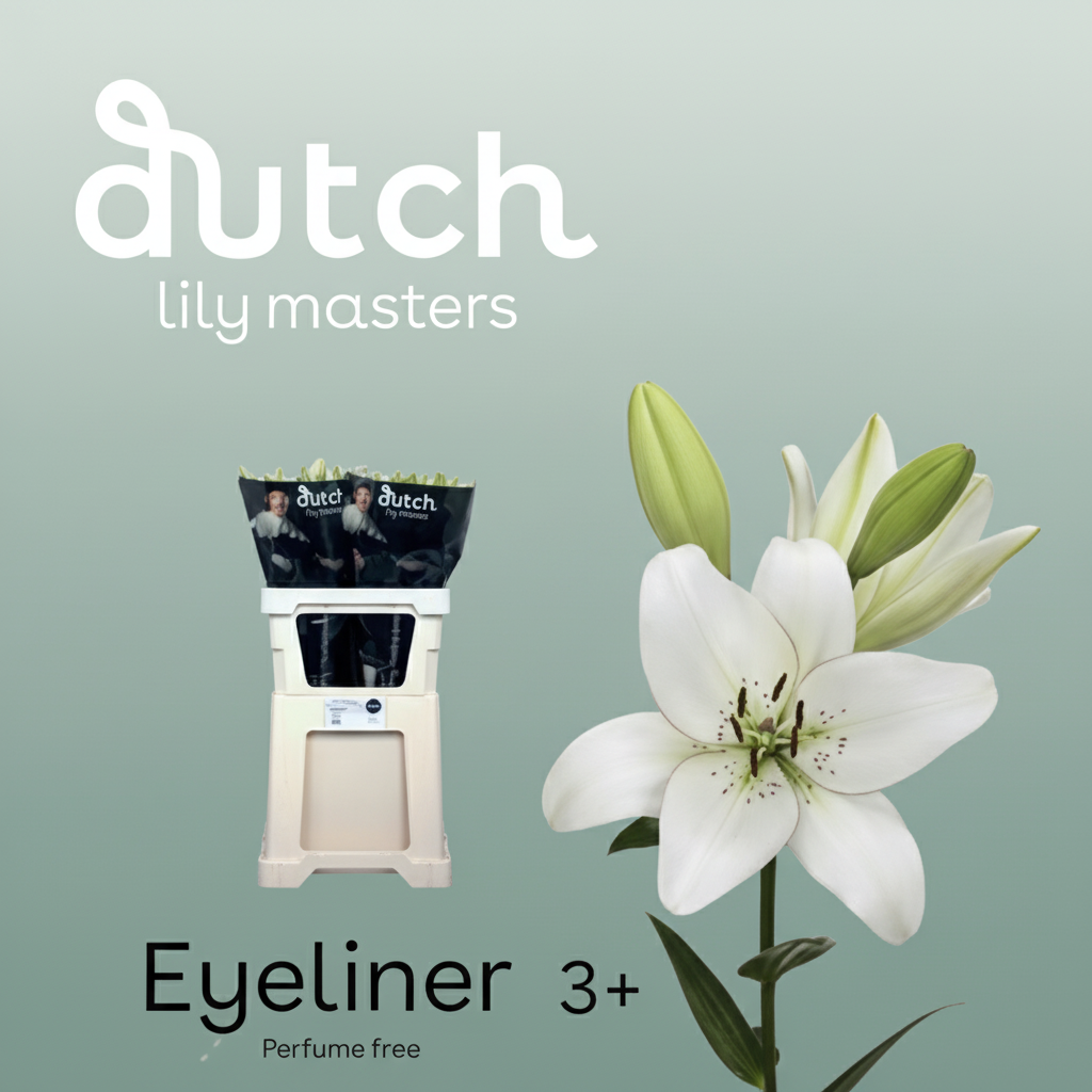 Lily - Lilium - LA Eyeliner