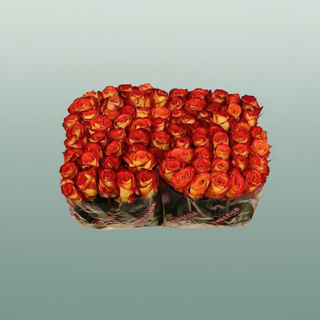 Rose - Rosa - Firefox