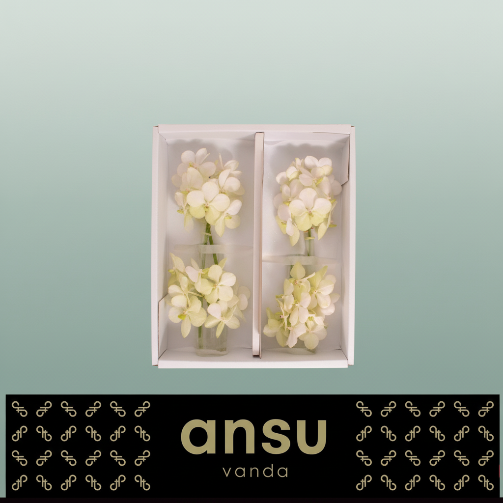 White Vanda Orchid Cut Stem – 20cm
