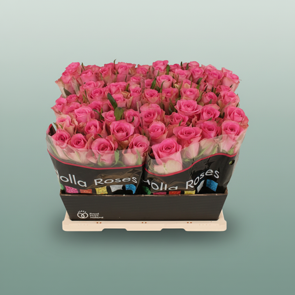 Rose Royal Jewel