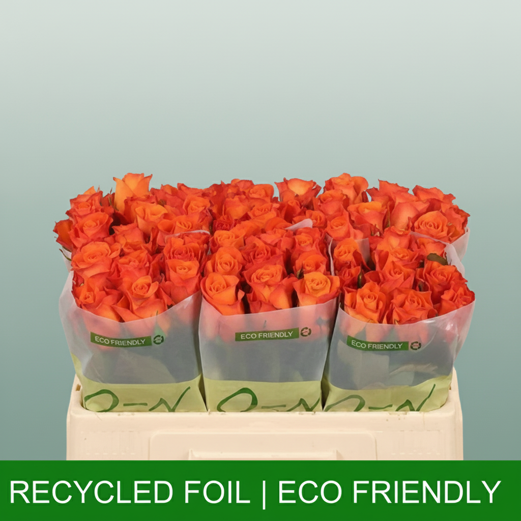 Rose - Rosa - Orange Wave