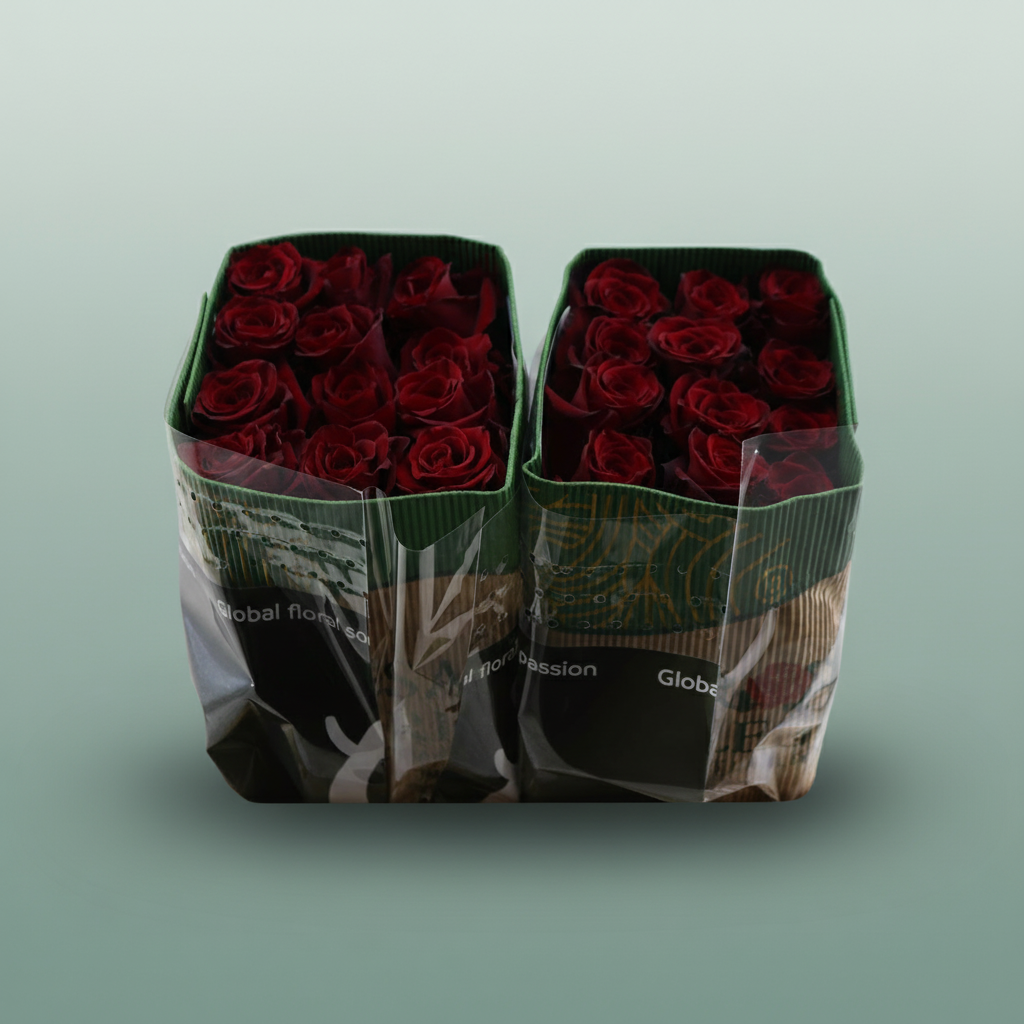 Rose Explorer