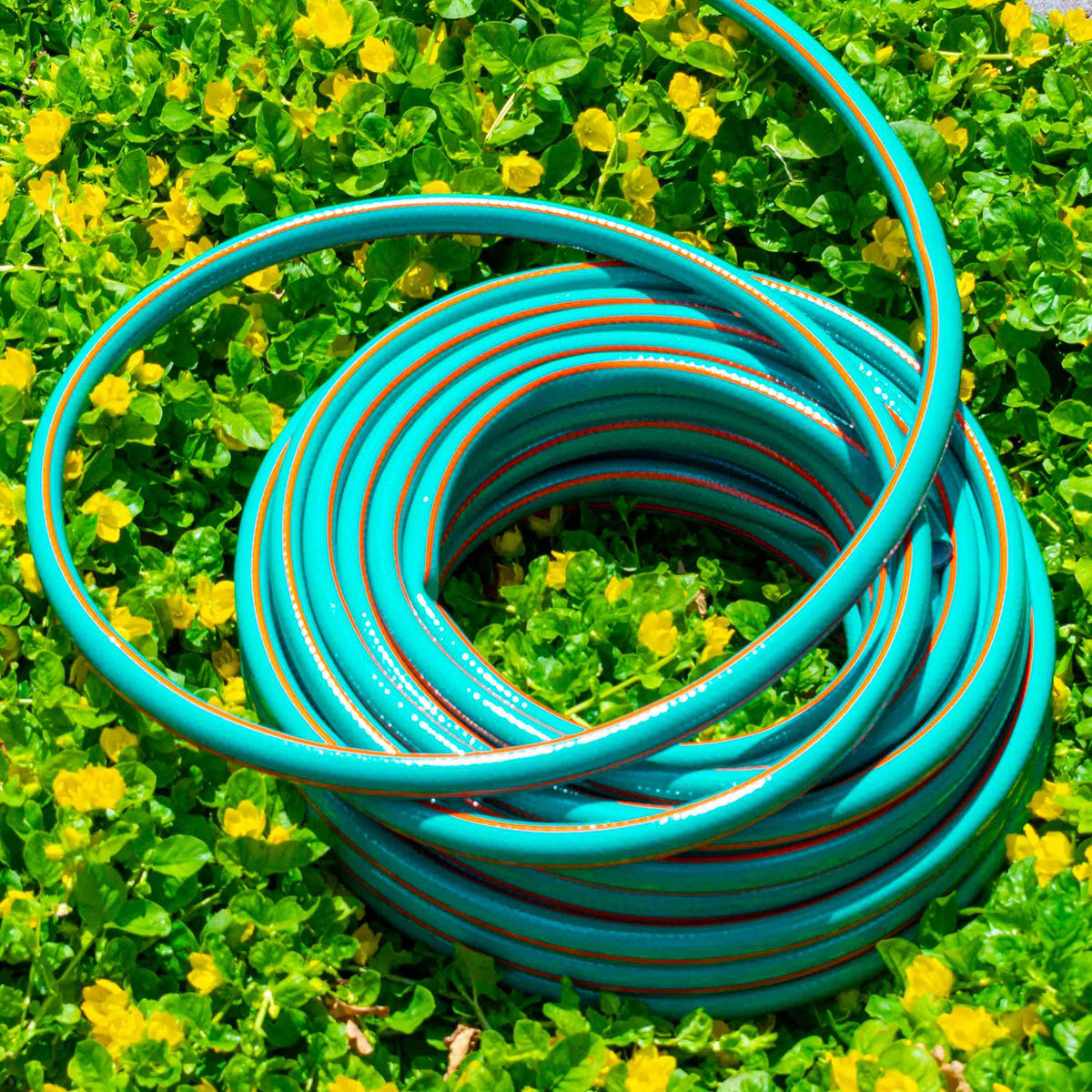 Garden Hose Economy 4-Layer 1/2" Pipe