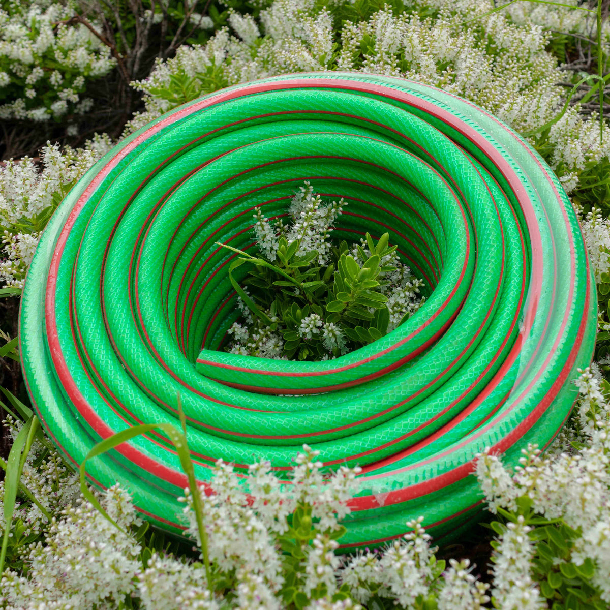 Premium Garden Hose 6-Layer 1/2" Pipe Green