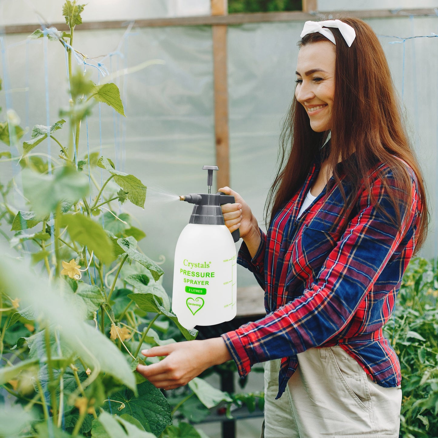 2 or 3 L Garden Hand Pump Pressure Sprayer