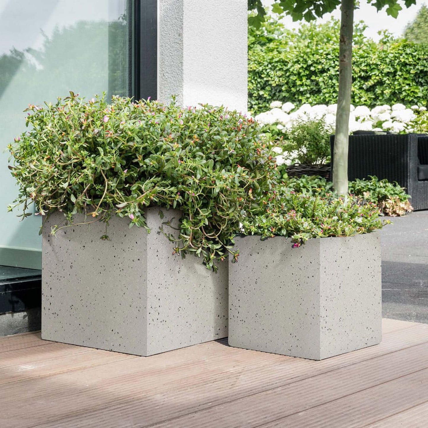 IDEALIST Lite Contemporary Flower Box Square Garden Planter, Light Concrete Outdoor Large Plant Pot H50 L50 W50 cm, 126L